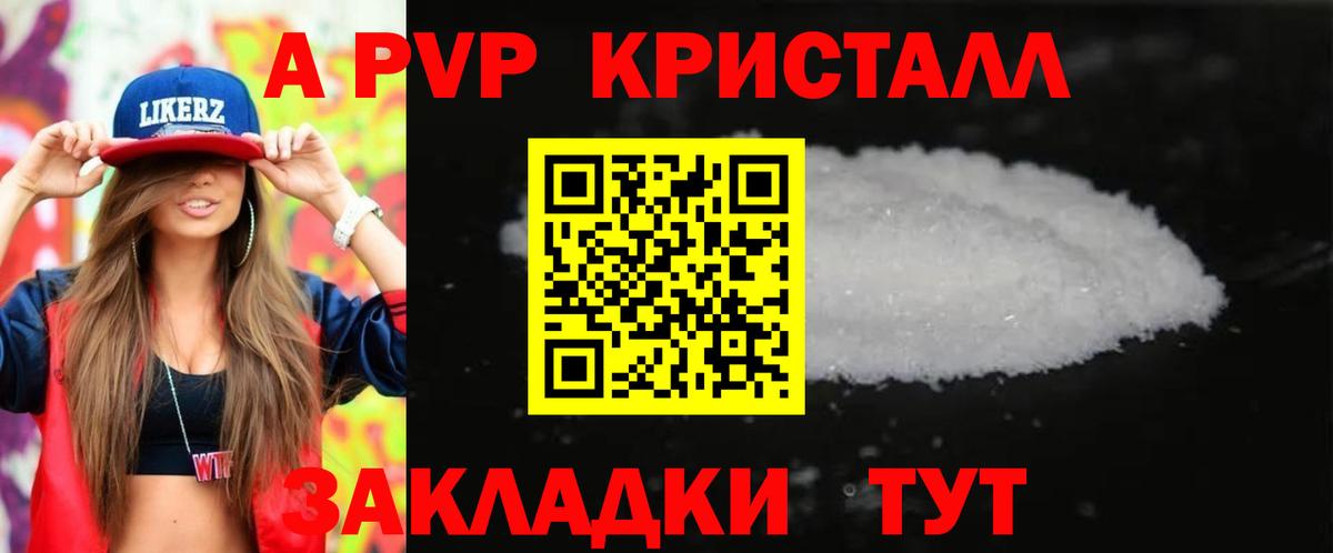 Альфа ПВП СК КРИС Кировск