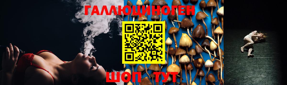 Галлюциногенные грибы Psilocybine cubensis Кировск
